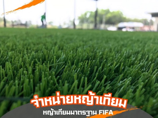 จำหน่ายหญ้าเทียม